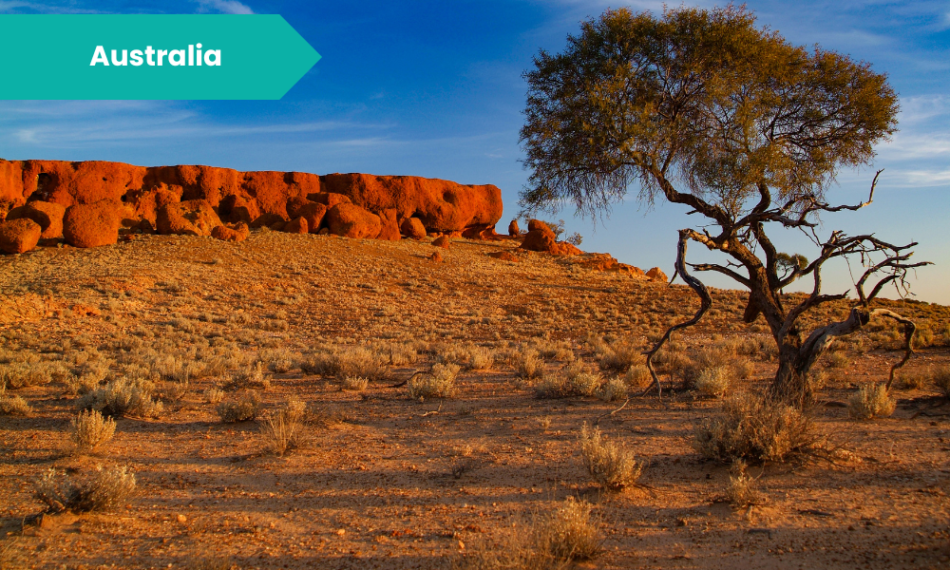 Australia’s Muslim Cameleers