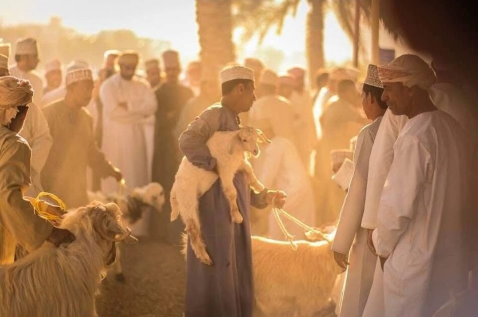 Nizwa Uncovered: A Halal-Friendly Destination Full of Heritage and Charm