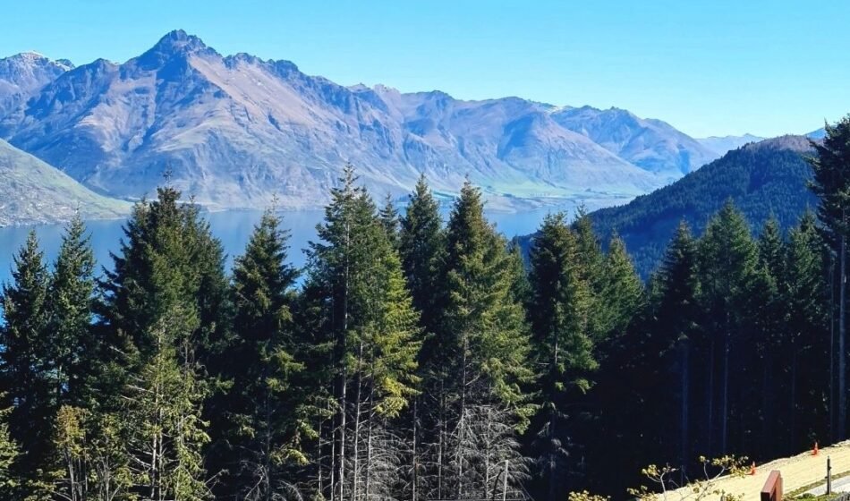 From Queenstown to Milford Sound: One of the World’s Most Beautiful Road Trips