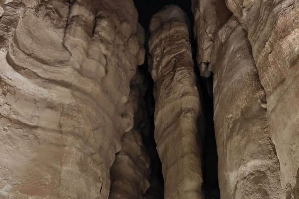 Al Ahsa Uncovered: Saudi Arabia’s Hidden Oasis Gem