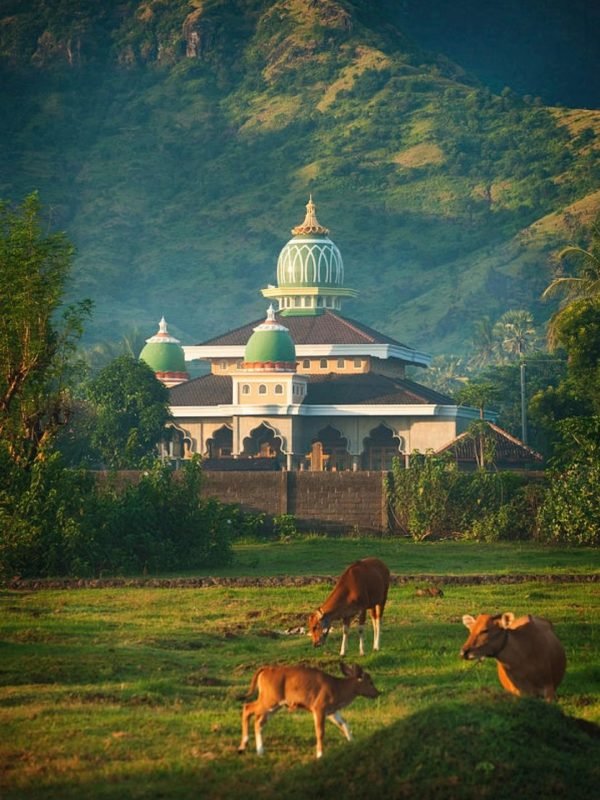 Halal-Friendly Side of Bali