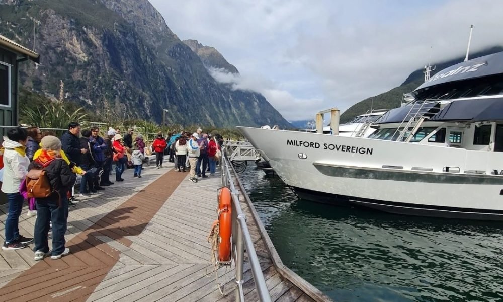 Queenstown to Milford Sound 1