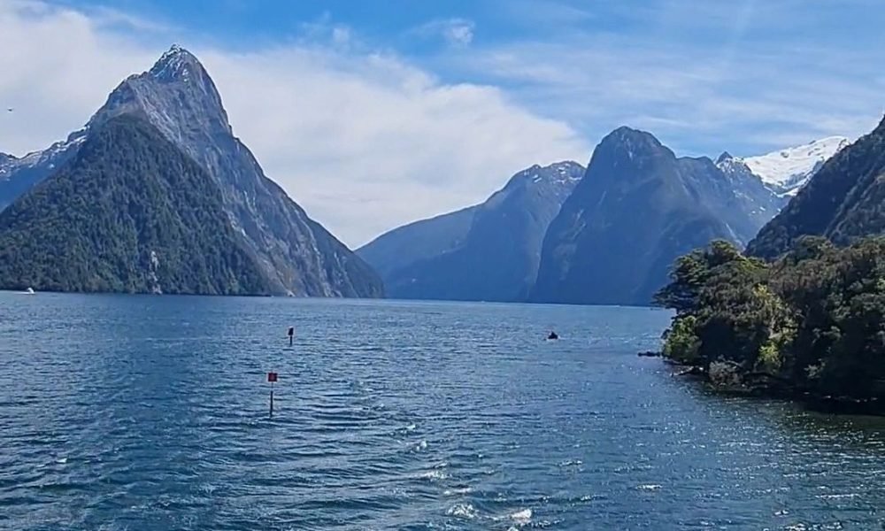 Queenstown to Milford Sound 2