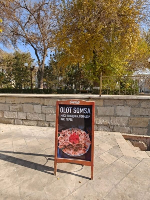 Samsa vs Samosa 4