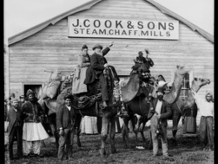 Untitled design (59)